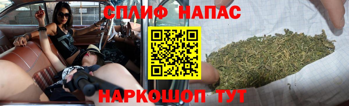 ГАШ Павлово